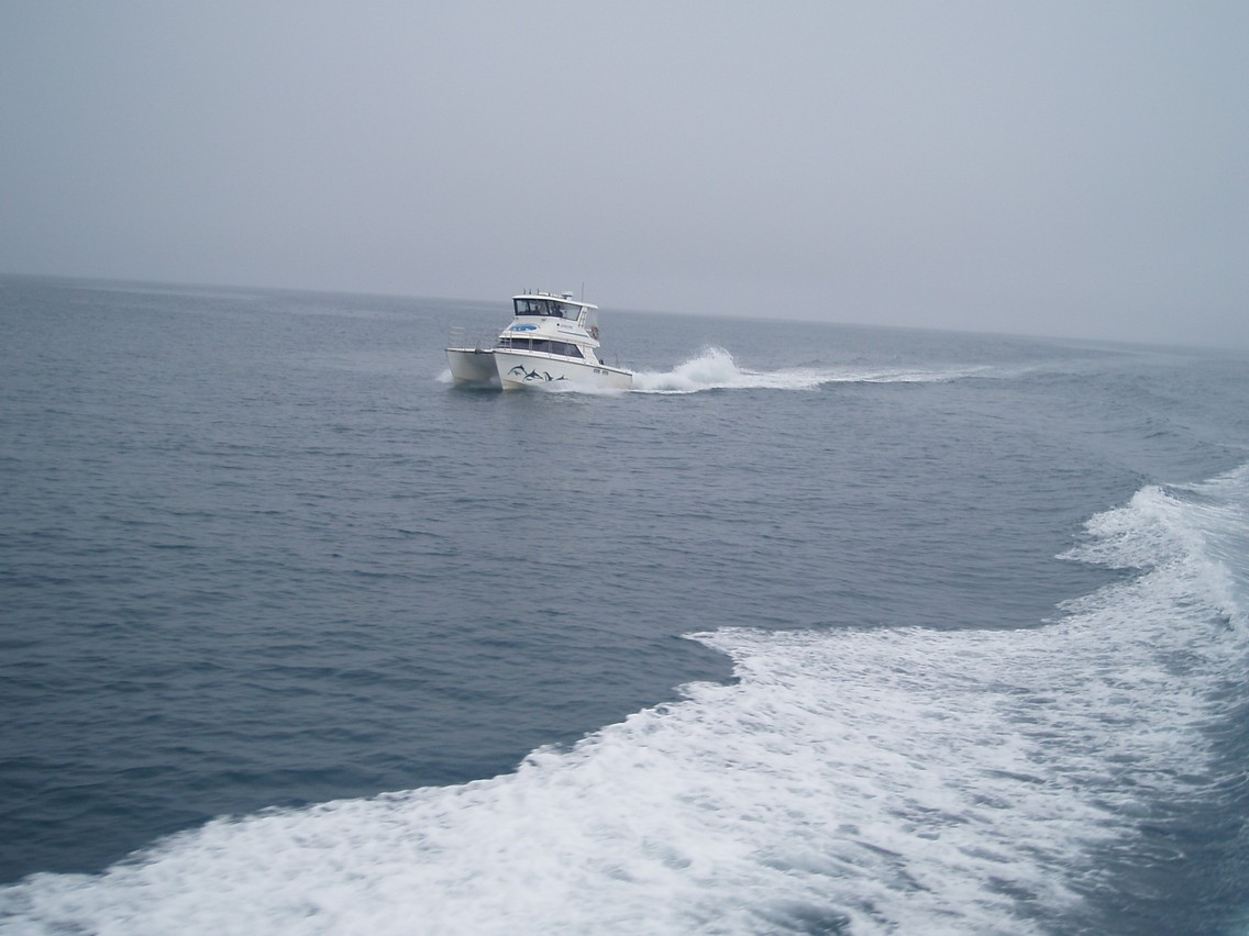 221   30 01   Kaikoura